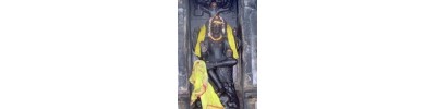 231. திருமாணிகுழி